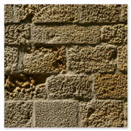 Detalle pared Ciutat Vella<br />Ref.: bcn-col-064